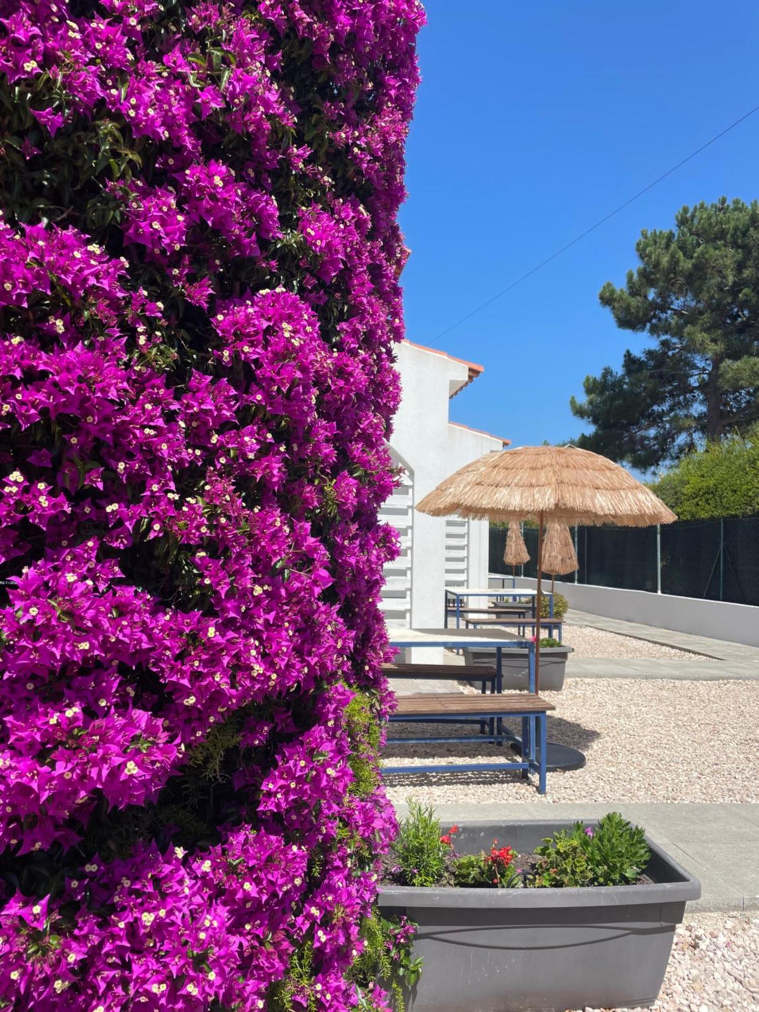 California Dream Inn Aljezur Kültér fotó